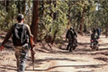 22 Naxalites arrested, explosives seized in Chhattisgarh